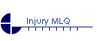 Injury MLQ